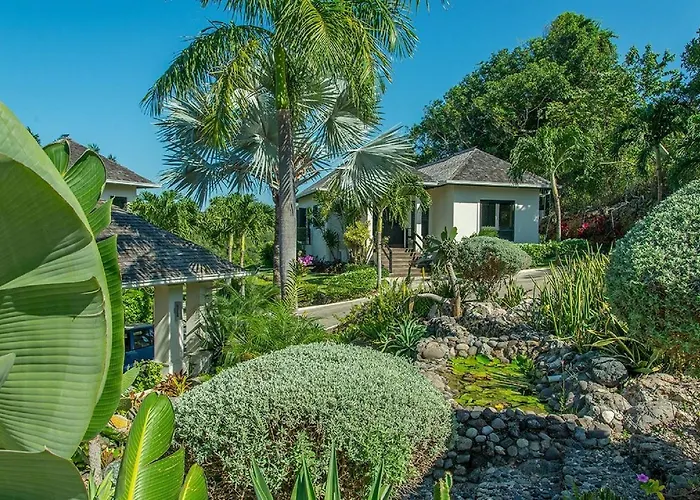 Hospitality Expert Sf Private Pool Chef Villa Montego Bay