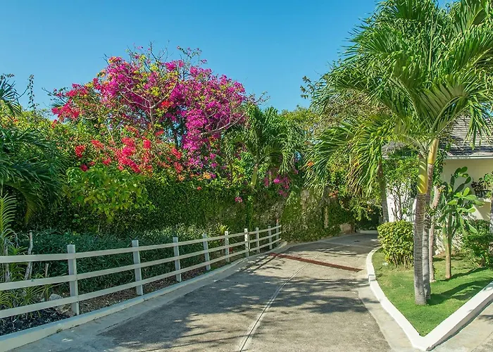 Hospitality Expert Sf Private Pool Chef * Montego Bay